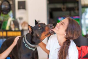 Read more about the article When Dog Lick You, This Is What It REALLY Means (it’s not Cute)