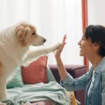 Why Dogs Choose You As Their Favorite Person (10 Surprising Reason)