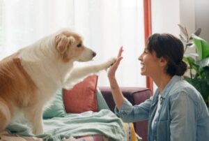 Read more about the article Why Dogs Choose You As Their Favorite Person (10 Surprising Reason)