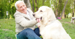 Read more about the article 7 dog breeds that form the deepest emotional bonds with their retiree owners