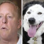 Man’s Told He Has 5 Years To Live, So He Goes To Shelter And Asks For an “Obese, Middle-Aged Dog”