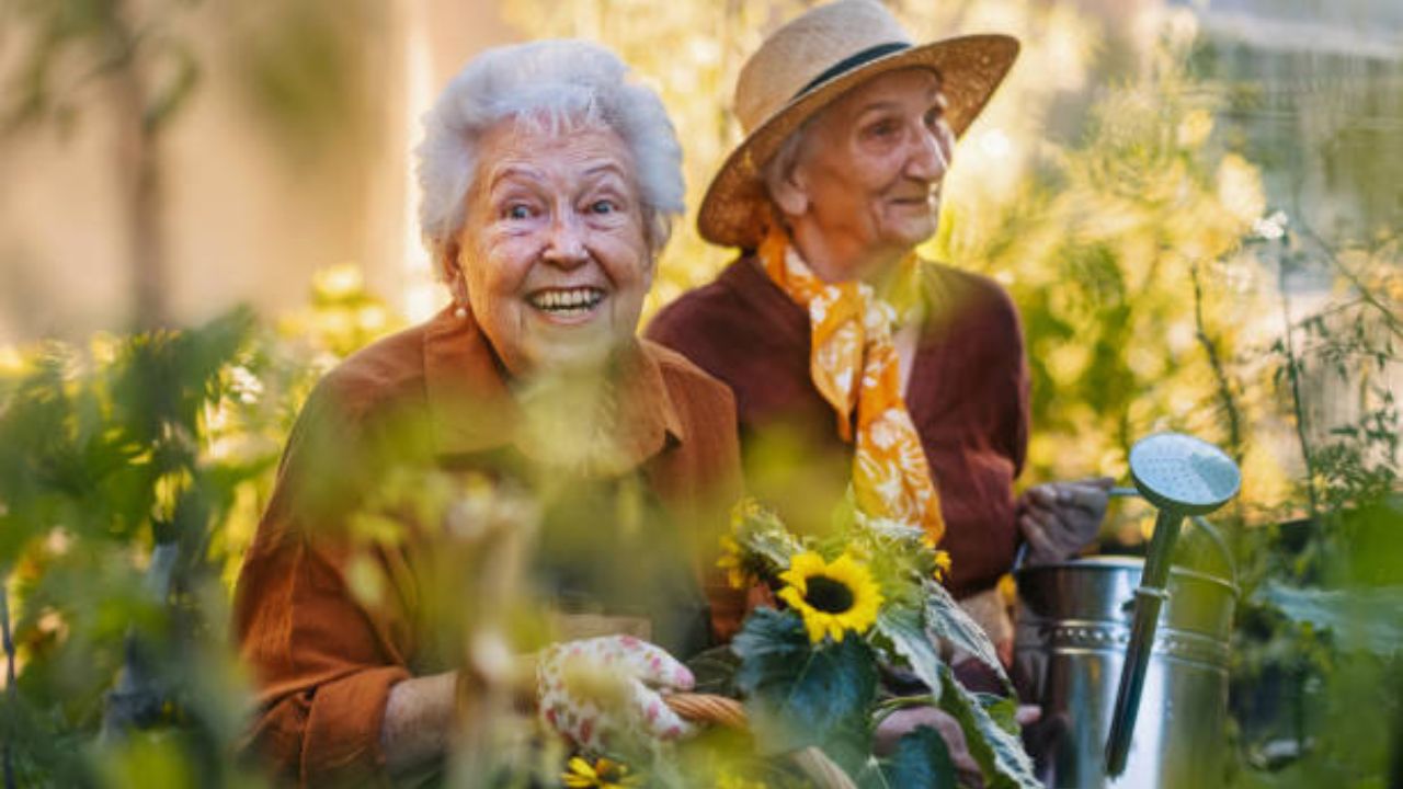You are currently viewing Widowed After 70? A Nurse Shares 5 Secrets to Thriving After Loss